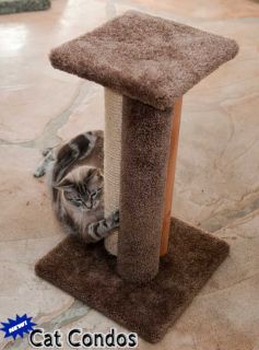   large cat scratching post takes the cake because of the great design