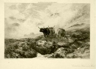 Antique Print Caledonia Stern Cow England Murray 1880