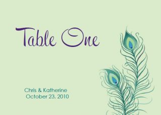 12 Peacock Wedding Table Number Cards Two Options
