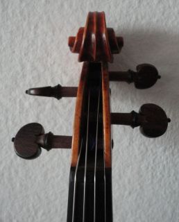   Geige Viola Cello Fiddle Violine Fullsize Camillus de Camilli