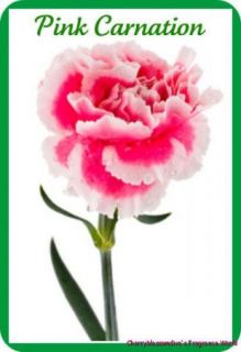 CBD Pink Carnation Perfume Oil Rollon Fresh Floral