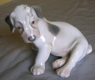 Rosenthal Fox Terrier Porcelain Dog Figurine KAERNER135