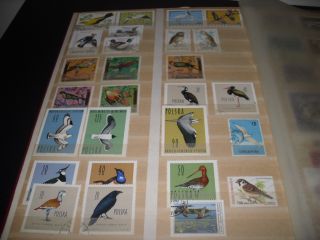 Thematics Collection Nature Birds Flowers etc on Stamps