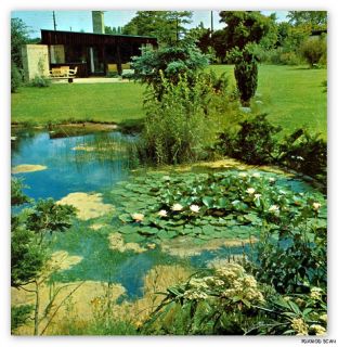 1968 Mid Century Modern Old School Garden Design Plants Lawns Rock 