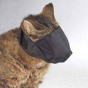 guardian gear lined nylon cat muzzle grooming medium