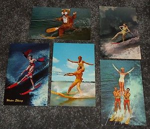 Lot of 5 Water Skiing Tricks Skiing Vintage Postcards Tiger Mascot