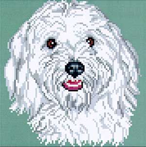 Bichon Frise Dog Puppy Face Franklin Cross Stitch Chart