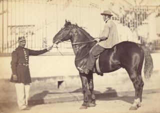 Horse Agricultural Exhibition Colmar Photo CC Adam 1867