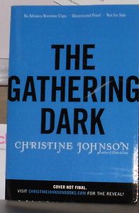  Gathering Dark Christine Johnson Arc 2 13 YA Ages 14 Up Claire de Lune