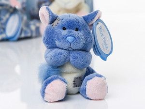   My Blue Nose Friends Snugs Chinchilla Soft Plush Toy Collectable 76 S