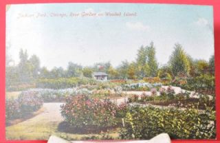 Jackson Park, Chicago Rose Garden on Wooded Island pre teen divided