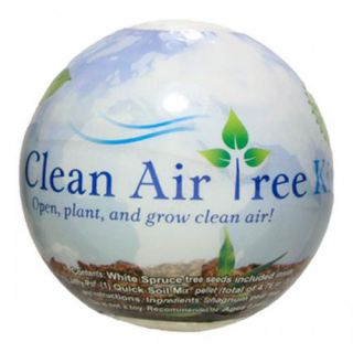 Clean Air Tree Kit 3 Pack Contains White Spruce Seeds Jiffy Pot Soil