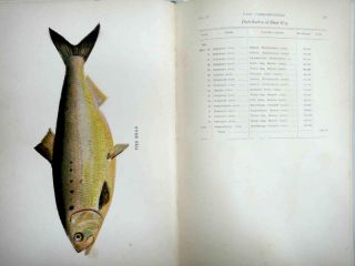 1897 antique FISH COLOR PRINTS~ PENN STATE COMMISSIONERS REPORT