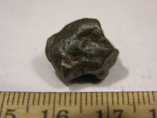 Meteorite Campo del Cielo iron nickel Argentina 16 x 15 mm 4 1 gram