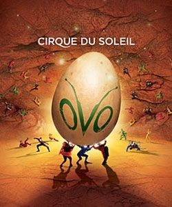 OVO Cirque Du Soleil Tickets for $42 Santa Monica
