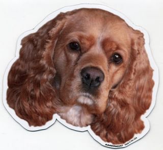 cocker spaniel dog magnet great magnets for proud dog owners or anyone