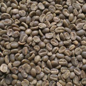 Gourmet Green Coffee Beans 1 lb 2lb or 3lb Sizes Pick from 29