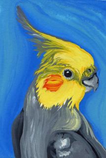 ACEO Grey Pet Art Cockatiel Bird Profile Original Carla Smale