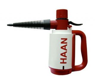 HAAN HS 10 Handheld Steam Cleaner Garage and Shop Edition —