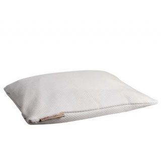 Buckwheat STD Size Pillow with Fully Zippered Quilted Cover — 