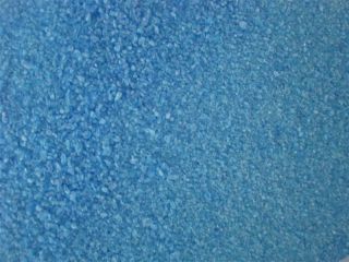 Copper Sulfate 10 Pounds Bulk Works Awesome on Algae Pond Weeds 99