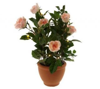 BethlehemLights BatteryOperated 27 Potted Rose Bush with Timer