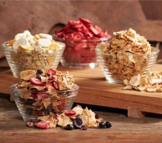 Sensible Foods (24) Bags Premium Crunch Dried Fruit —