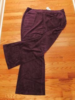 Charter Club Dark Concord Grape Lounge Casual Velour Womens Pants Size