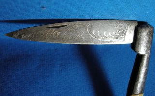 Antique Original Corsica Vendetta Knife C 1899 Ivory Looking Bone RARE
