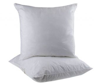 Set of 2 28x28 Euro Sham Stuffer Pillows —