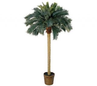 Sago Palm Tree by Nearly Natural —