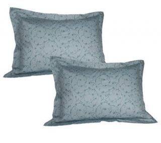Northern Nights Set of 2 STD Egyptian Cotton Vintage Scroll Pillow 
