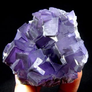 Purple Fluorite Cubic Crystal Cluster flyn9ie0117