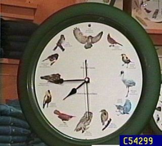Discovery Channel North American Bird Clock —