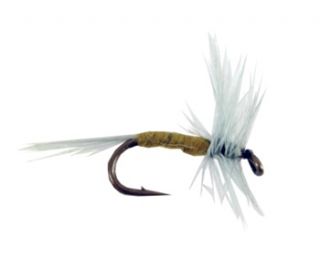 Pks. Crystal River Trout Fishing Flies   (2/pk)   Size 14   Bluewing