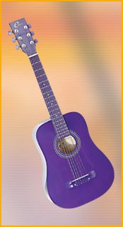 Eleca Acoustic Dreadnought Guitar DAG 5J Purple