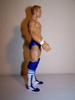 Mattel Daniel Bryan Danielson WWE ROH Elite TNA Custom Legends WCW