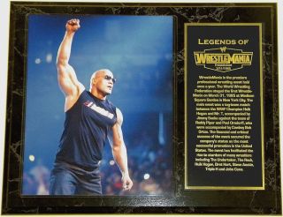 WWE Wrestling Legends of Wrestlemania 12x15 Custom Wood Plaque with