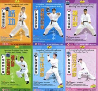 Guangdong Traditional Hong Boxing Complete Set by Lin Xin 9DVDs