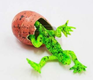 6x Cute Magic Growing Dinosaur Egg Add Water Child GiftHatching