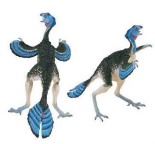 Feathered Caudipteryx Prehistoric Bird Dinosaur Figure