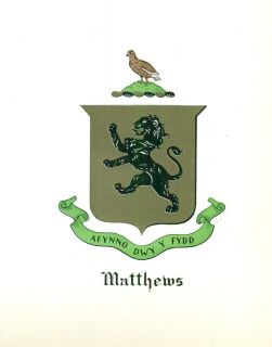 Great Coat of Arms Matthews Family Crest Genealogy Would Look Great