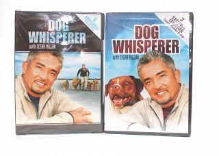 Dog Whisperer with Cesar Millan DVD Bundle