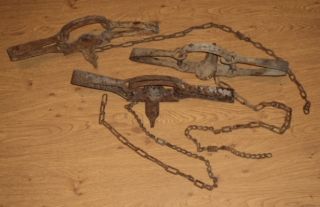 Three #4 WEBLEY double longspring traps with the cam springs