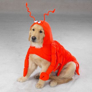 Casual Canine Lobster Paws Dog Halloween Costumes XS to XXL Great for