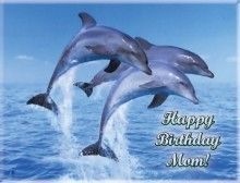 Dolphins Edible Cake Icing Image Birthday Custom Party