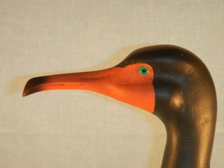  Crested Cormorant Decoy   Individually Hand Carved by Harold Van Dyck