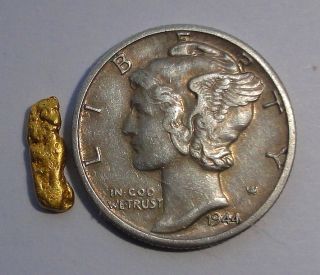 Natural California Solid Gold Placer Nugget Mining Bullion 321 Grams