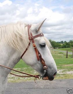 47B Ultimate Draft Horse Brown Bridle Reins Bit Concho
