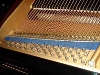 Dont Pay or Believe Inflated Piano Prices at Your Local Piano